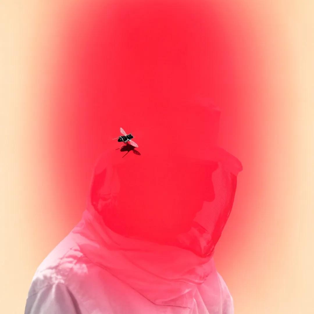 纽约时报去年的文章,纽约时报年度最佳图书