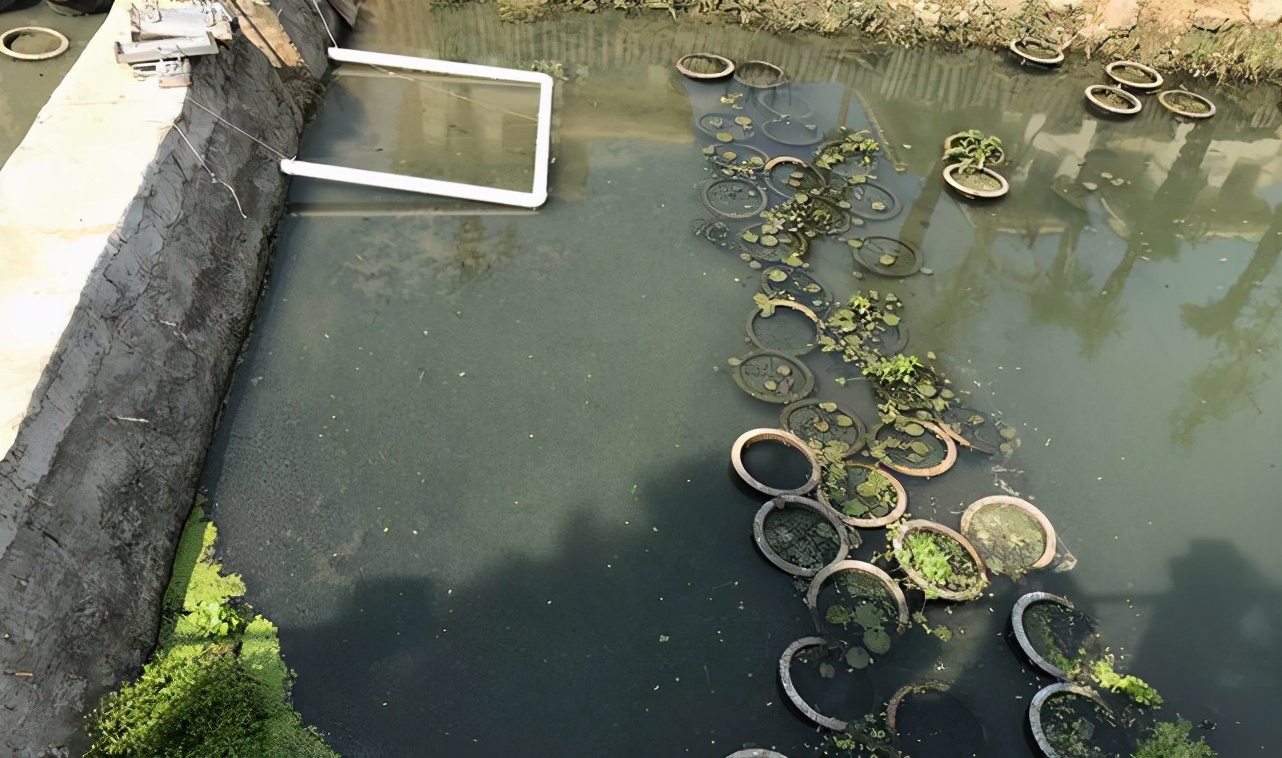 坚决斗争！拒交物业费！镇江这个小区业主还要赶走物业公司