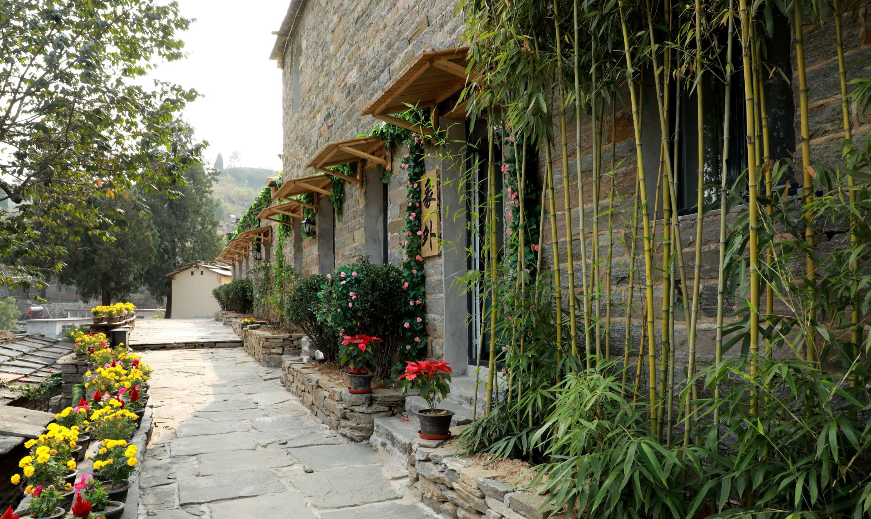 邢台附近有特色的民宿有哪些,邢台小戈廖村民宿价格