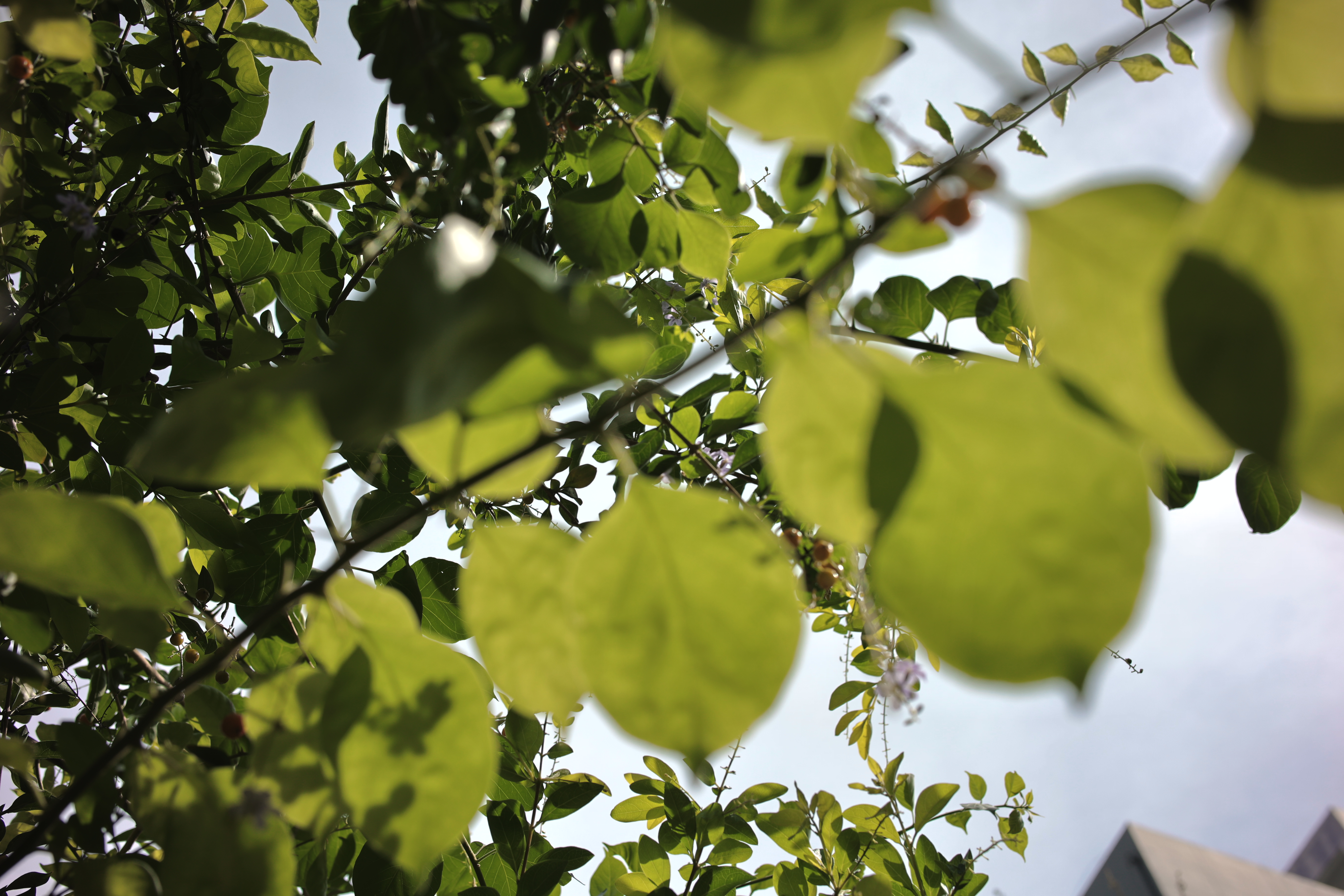 35mm镜头的最佳拍摄距离,摄影新手适合35毫米镜头吗