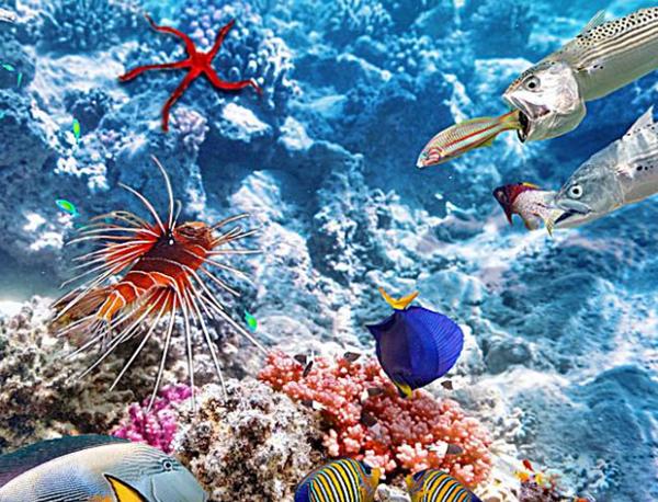 史上五大恐怖深海生物,海洋十大恐怖鱼