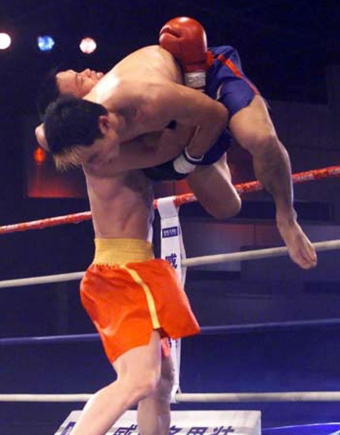 散打介绍简短文字,散打文章