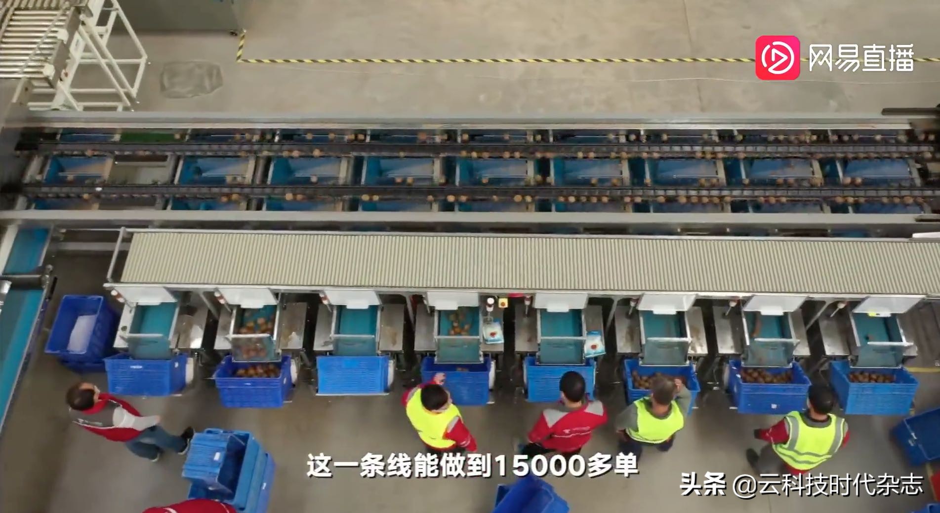 从双11脉动观察中国消费新趋势,京东消费趋势报告