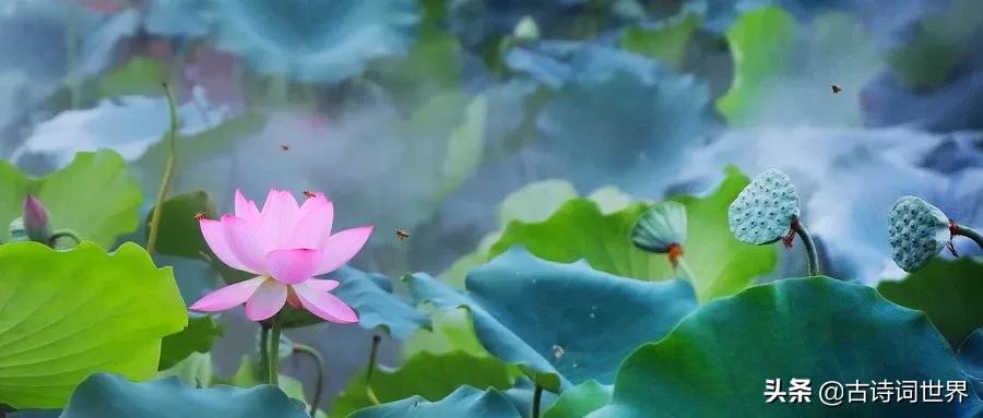 关于风花雪月的古诗词,关于春夏秋冬和风花雪月的古诗词