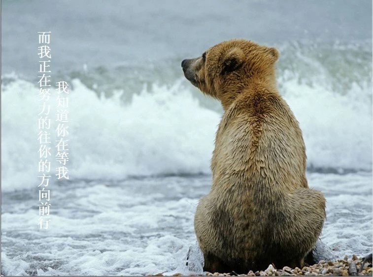 我只想说声爱你,只想再爱你一次