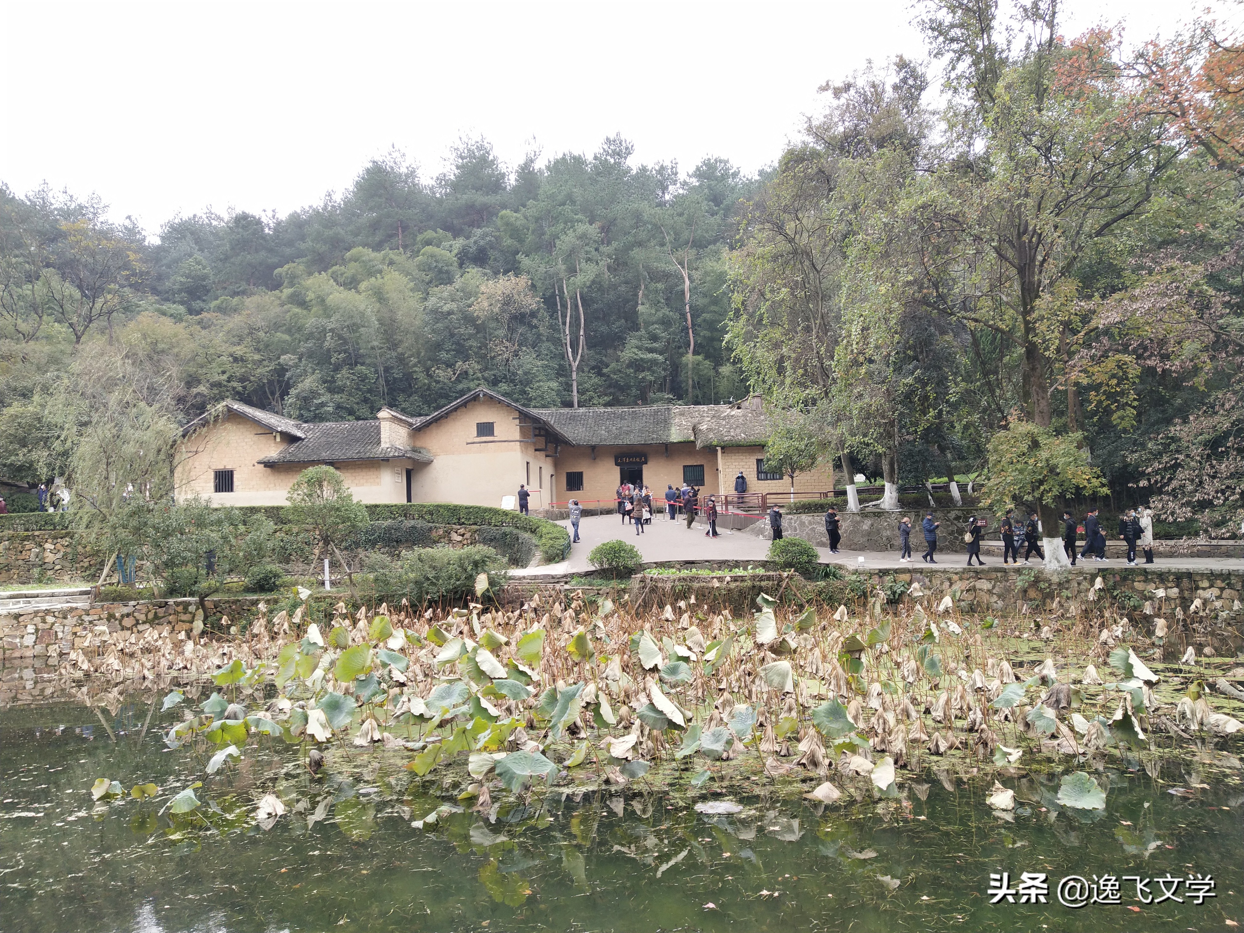 红太阳升起的地方什么山,描写红太阳的散文