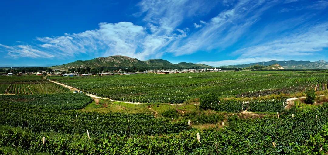 溯乡源、忆乡景、述乡俗，带你走进不一样的家乡秦皇岛