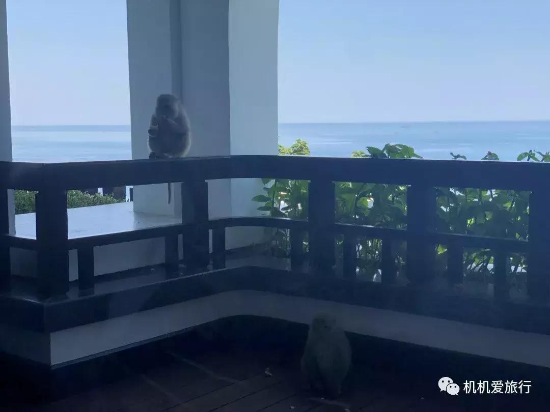 越南4天3晚跟团游,越南旅游芽庄6天五晚跟团游