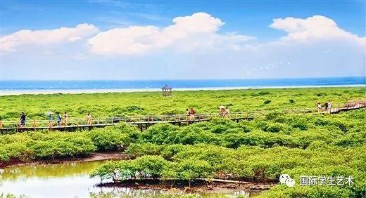 2050美国科技大赛,美国科学无国界挑战赛