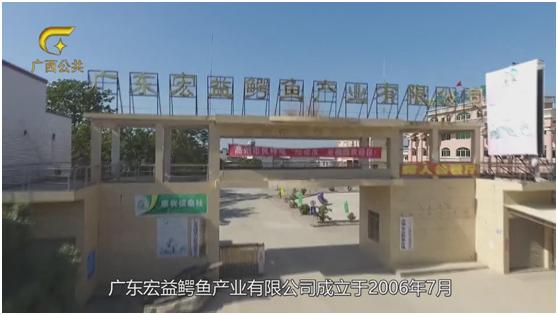 鳄之宝,广西卫视12点探秘节目