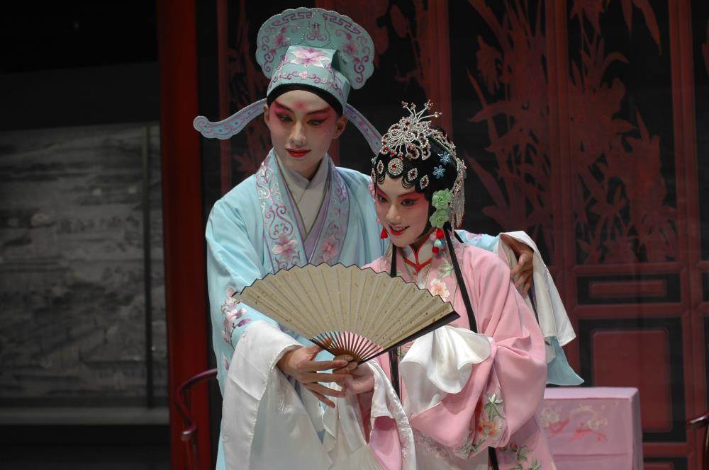 桃之夭夭灼灼其华是描写桃花吗,桃之夭夭灼灼其华的诗意