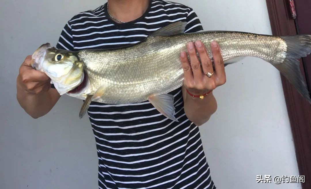 钓鱼最难忘的是什么,钓鱼遇到什么有趣的事