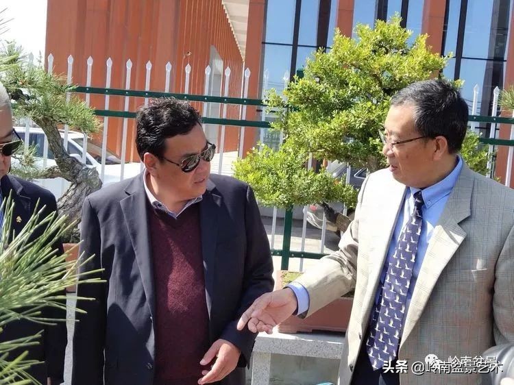 盆景产业的前景,我的盆景创业之路