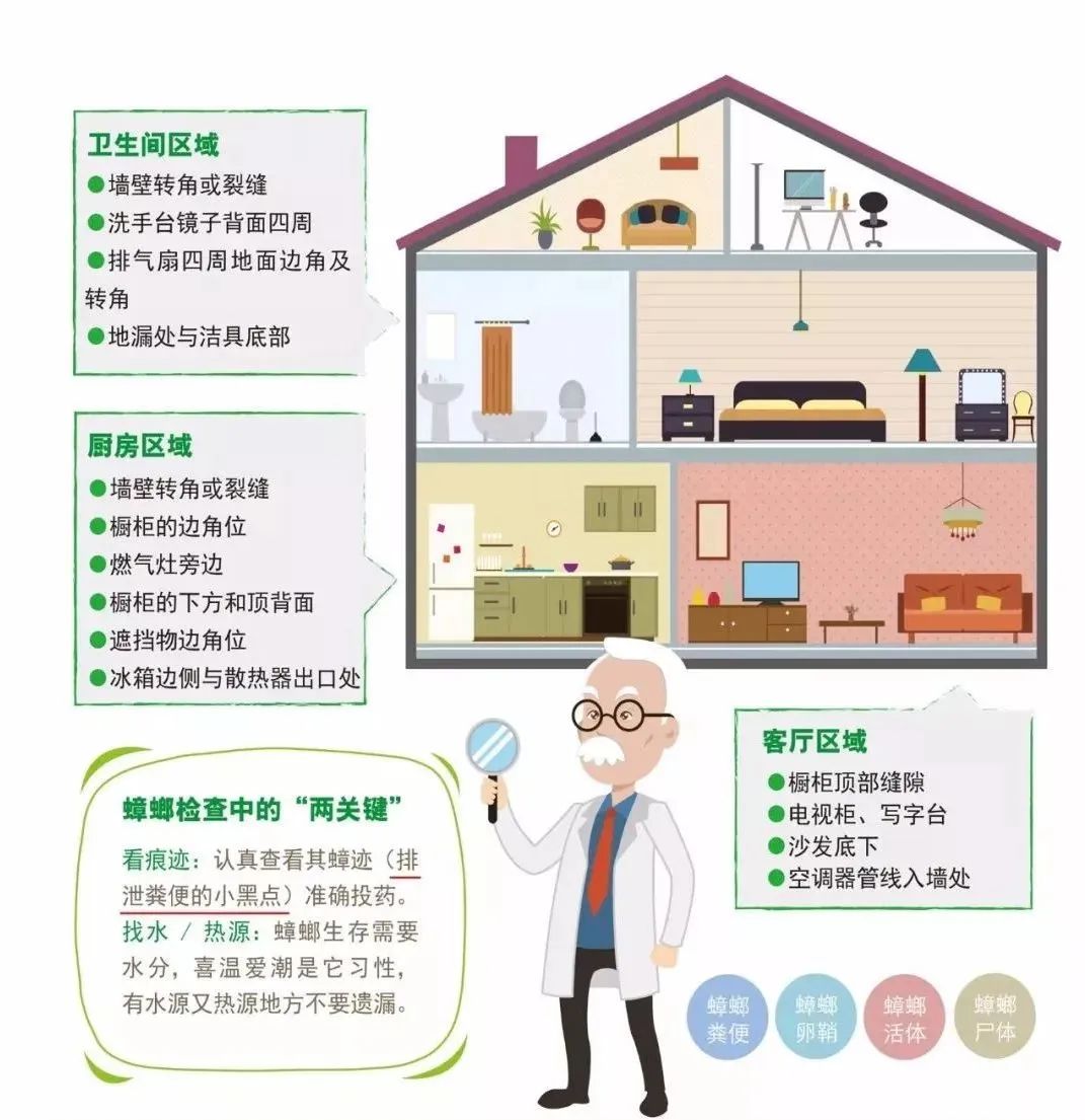 家里蟑螂多用哪种杀蟑办法,家中蟑螂怎么彻底消灭