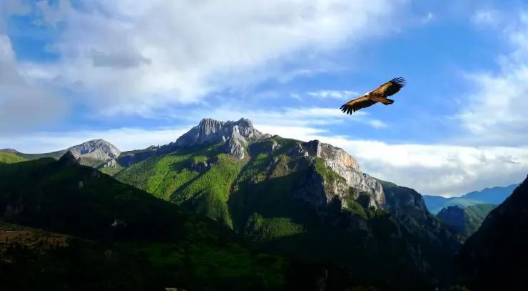 洛克徒步木里到稻城翻的是哪座山,秘境四川甘孜