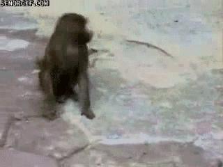 揭秘互联网比较常见的网赚骗局,知识分享割韭菜新套路