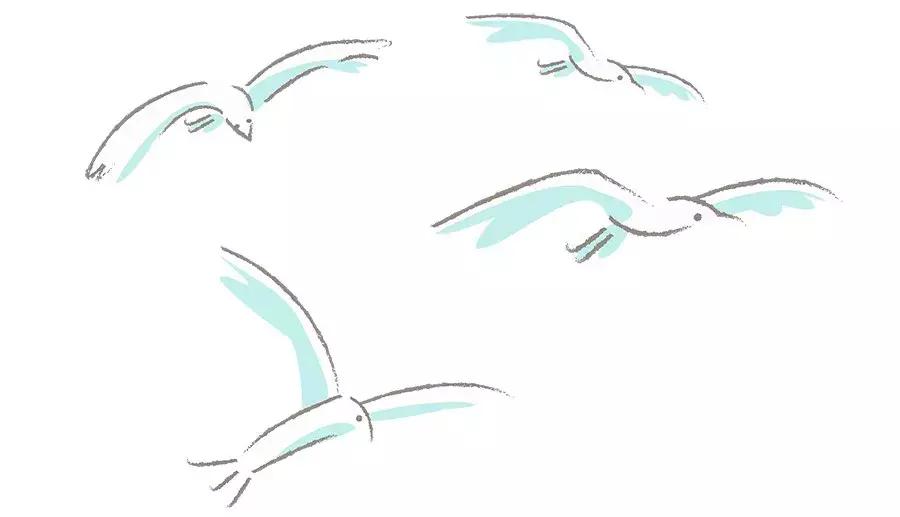 小说女主播和榜一大哥,小说女主播林雨婷