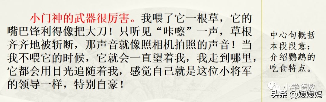 四下四单元我的动物朋友,第四单元我的动物朋友四年级上册