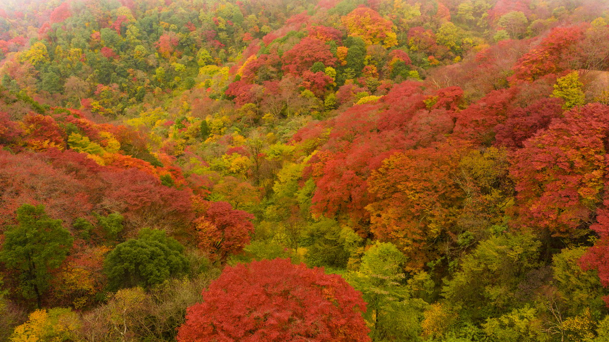 如果你累了就来这座小城吧,如果你累了就来云南吧完整版