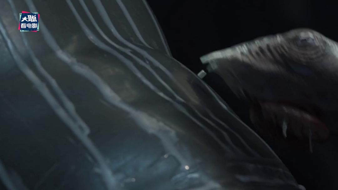 异星灾变脑洞,蛇鳗异星灾变