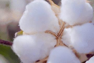 百搭宝藏t恤,夏季情侣t恤宝藏店铺