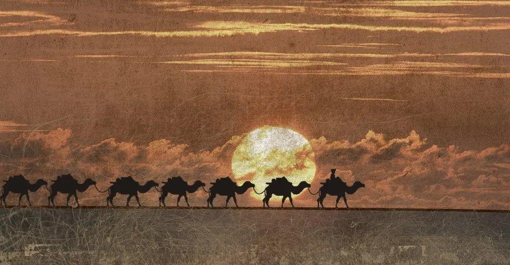 驼奶钙片怎么识别真假,驼奶钙片怎样辨别真假