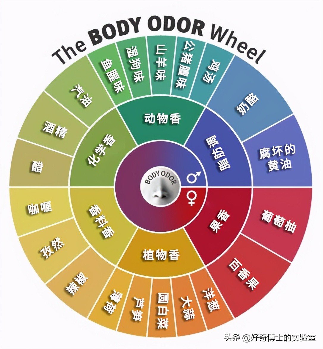 怎么样才能让身上闻起来香香的,怎么能让身体闻着很香