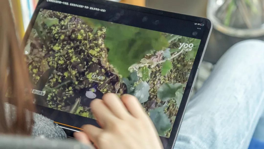 出差只带ipad,出差带ipadpro还是笔记本