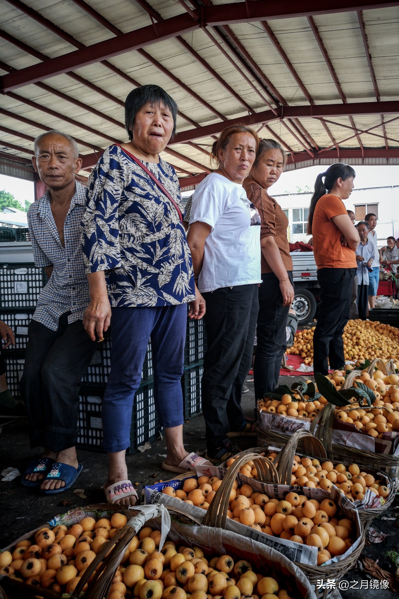 天府新区太平枇杷,成都太平枇杷批发市场
