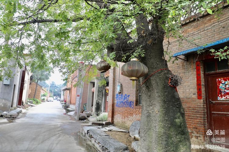 末伏偃师怀旧行，访古春秋时期滑国故城，探幽西天取经唐僧寺