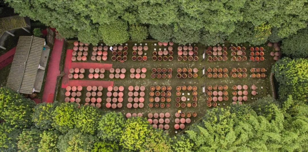 郫都中国川菜城,在郫都吃正宗川菜