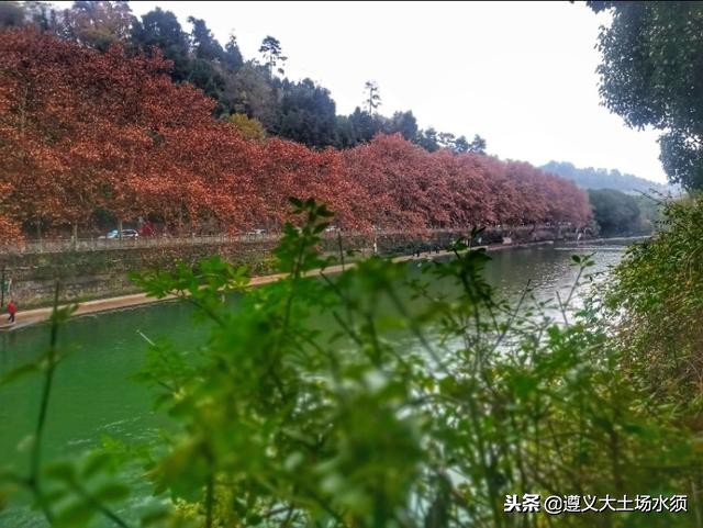 在冬天里看遵义湘江河上的秋色