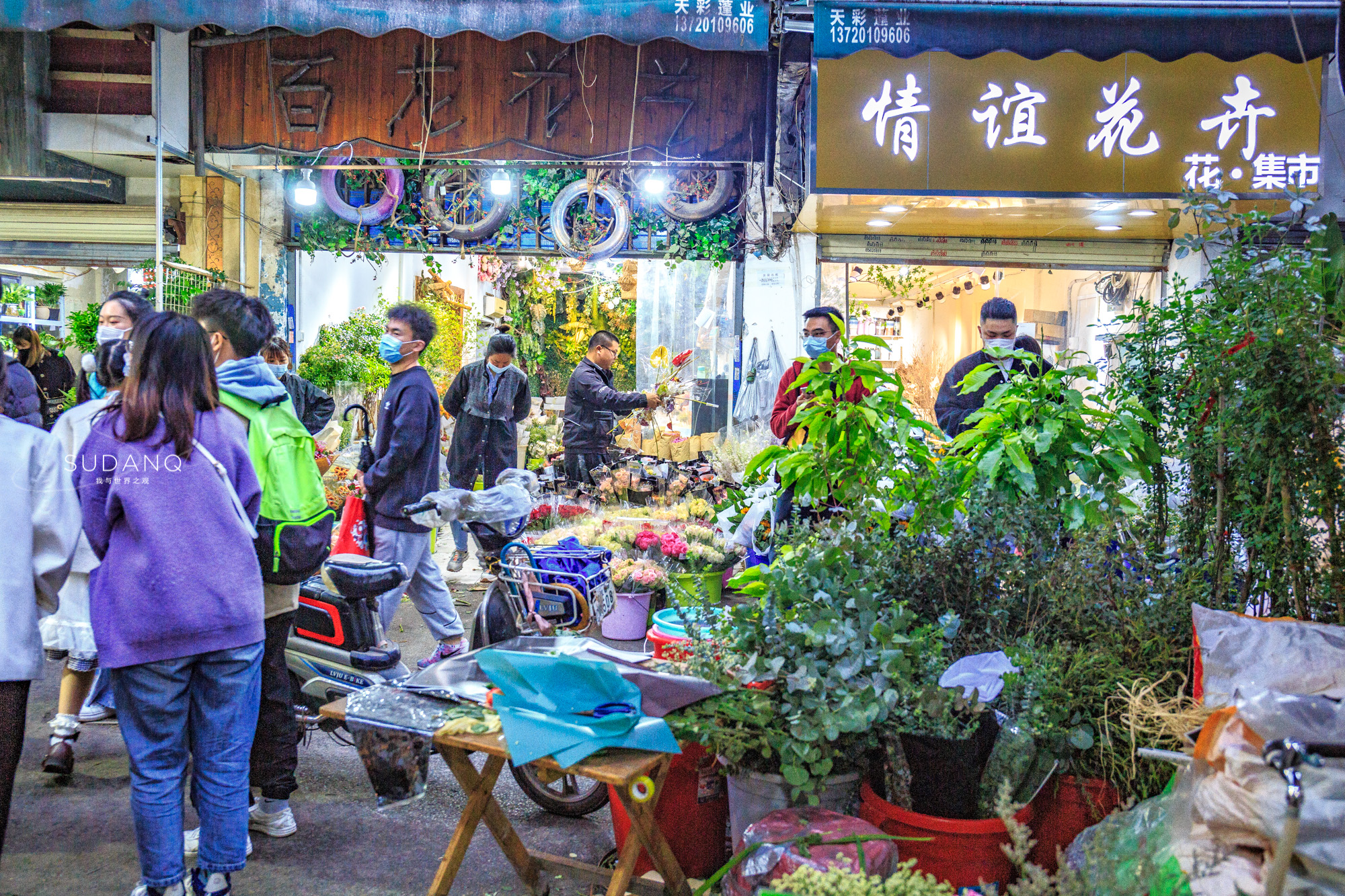 武汉铁机路花市,武汉解放公园花市