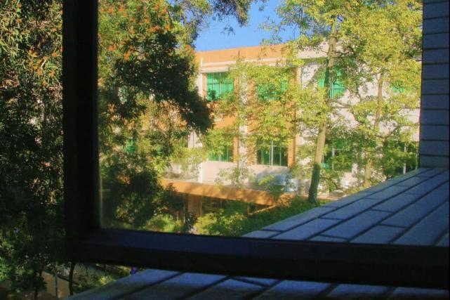 广东外语外贸大学什么专业最好,广东外语外贸大学哪个专业最好