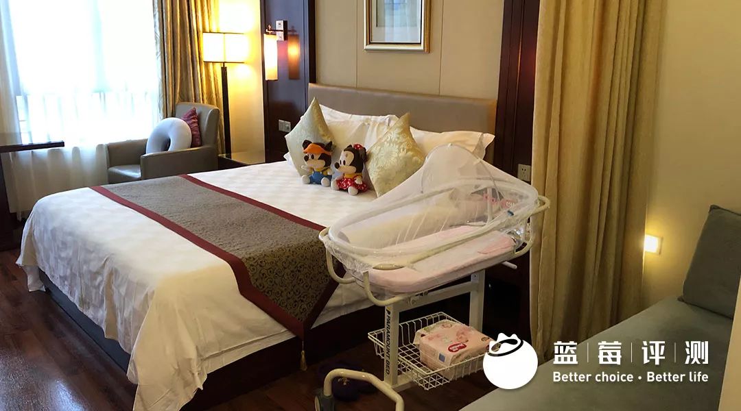 蓝莓评测酒店,月子中心蓝莓