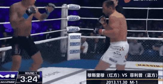 武术散手拳脚组合训练法,武术散手技法有哪些