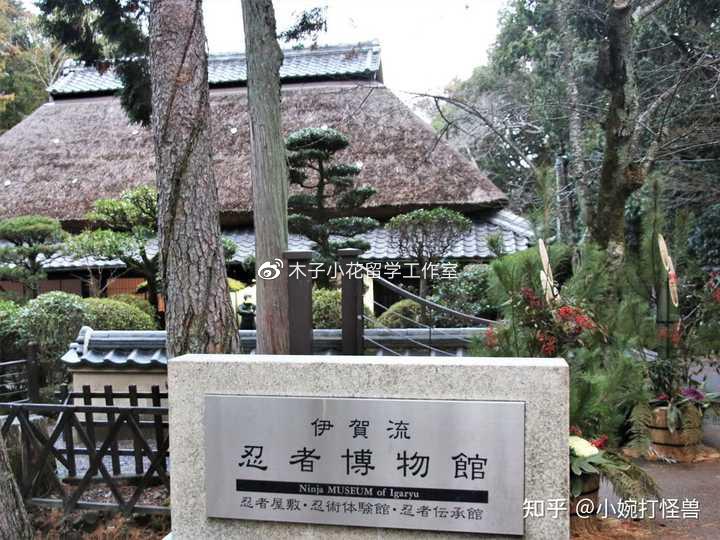 日本留学文化研究,日本留学体验日本文化