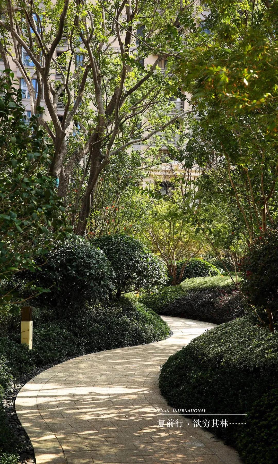 以青蓝之名，新湖重塑上海优雅生活