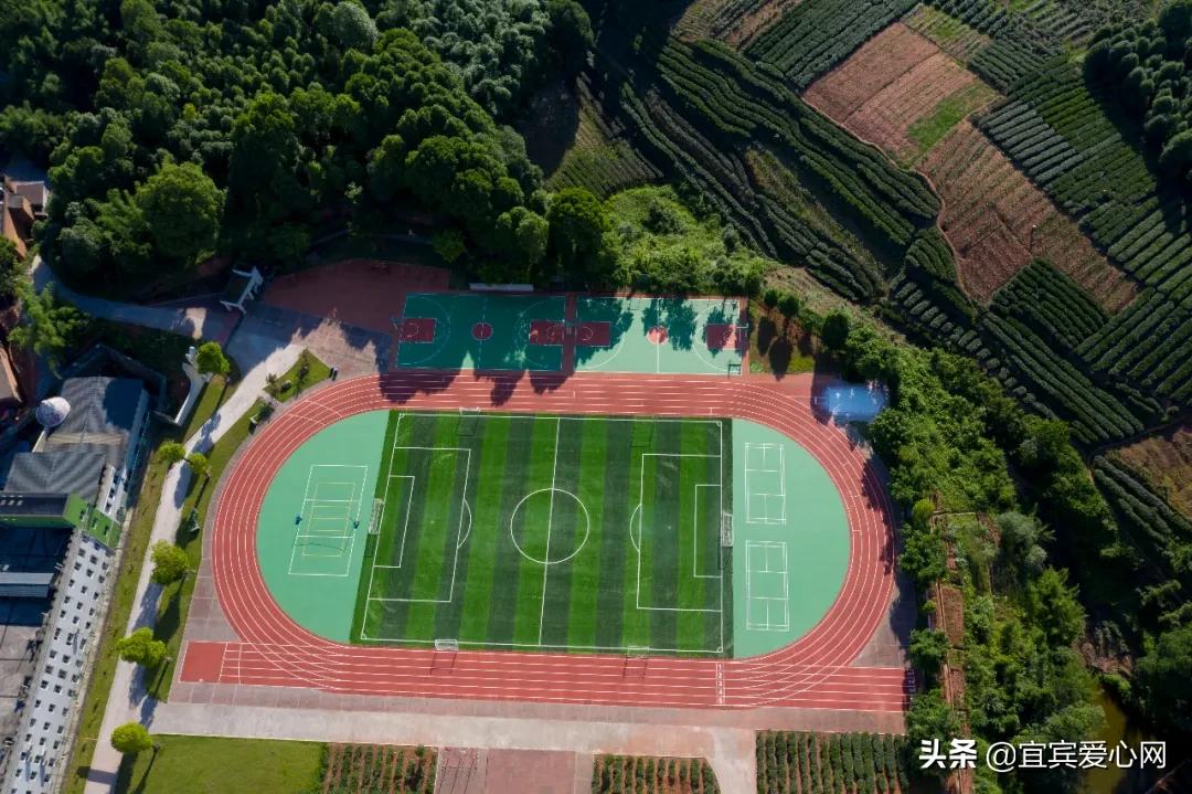 航拍青山绿水震撼风景竖屏视频,震撼校园秋景航拍