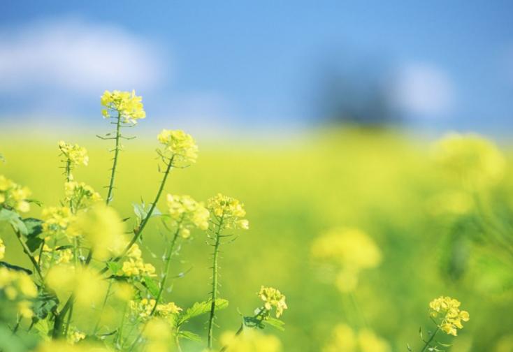 在乎你的人怎么舍得让你失联,真正爱你的人怎么可能失联