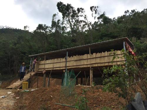 养羊创业致富方法,农村养羊如何闯出一条致富的路子