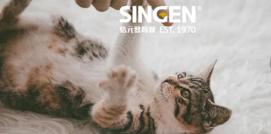 猫粮推荐幼猫粮平价安全,有哪些便宜又可靠的健康猫粮