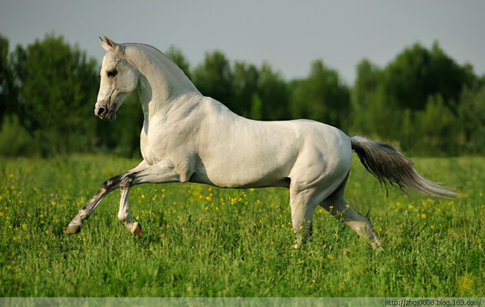 头条文学丨作家高波作品选刊