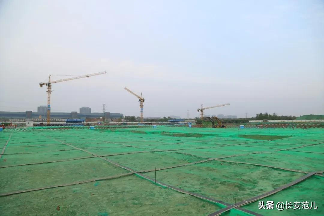 西安幸福林带绿化招标中标公告,西安幸福林带两边拆迁最新规划