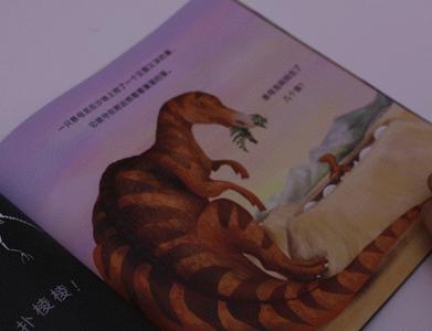 畅销300万，黄磊女儿的同款绘本火了！满足孩子好奇心的宝藏推荐