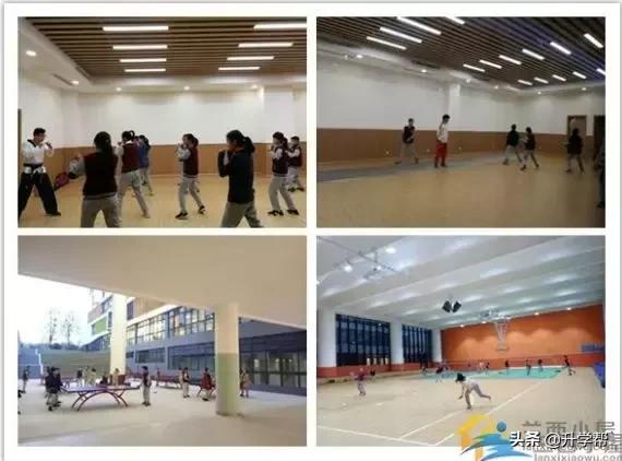 金苹果锦一小升初对外招生吗,成都金苹果锦一中学小升初政策