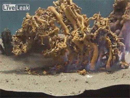 生活中的化学小实验和原理,化学原理动图100例