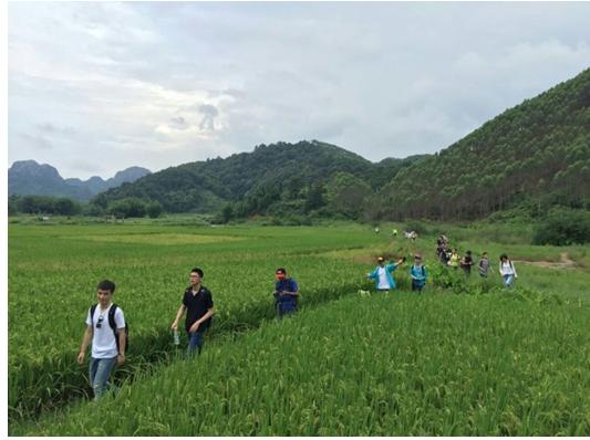 机票大跳水价格,长沙机票大跳水