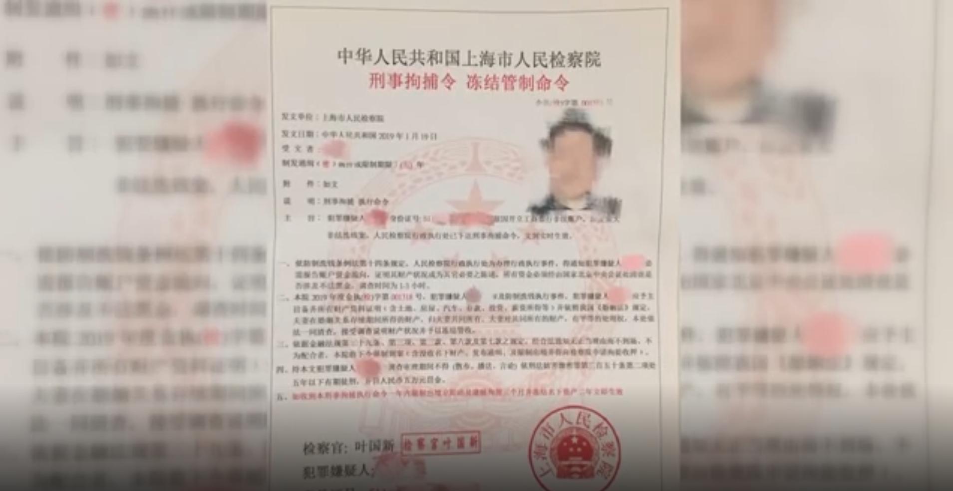 我被通缉,我被通缉了小说