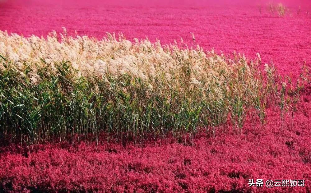 60岁前要去的100个地方,60岁以前必去的100个地方